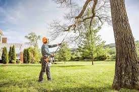 Best Storm Damage Tree Cleanup  in Valley View, PA