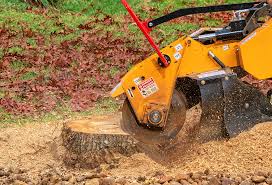 Best Grass Overseeding  in Valley View, PA